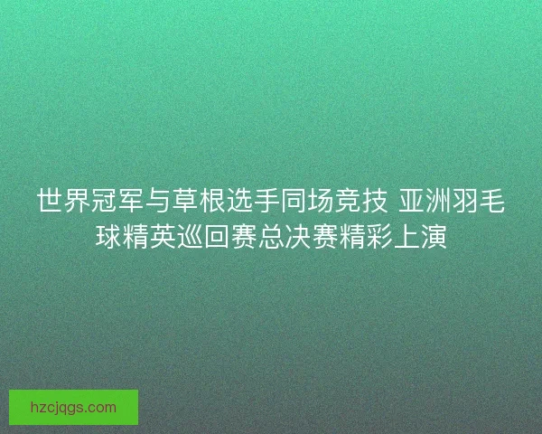 世界冠军与草根选手同场竞技 亚洲羽毛球精英巡回赛总决赛精彩上演